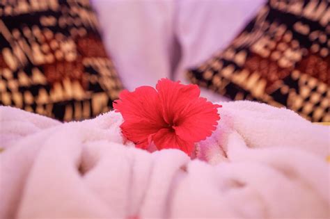 Тур на отдых в отеле Nungwi Heritage Resort 3* в Нунгви, Танзания, цены ...