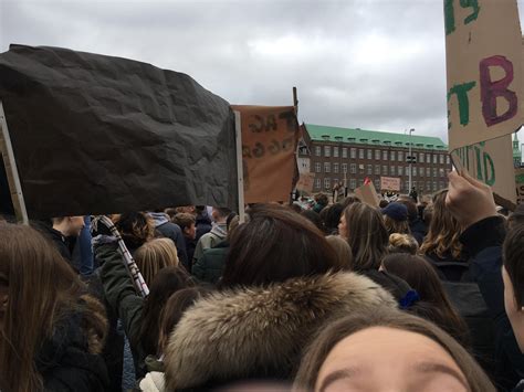 Picture from the climate strike in Denmark : r/Denmark