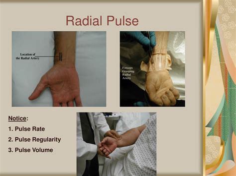 PPT - Comprehensive Guide to Physical Examination Techniques PowerPoint ...