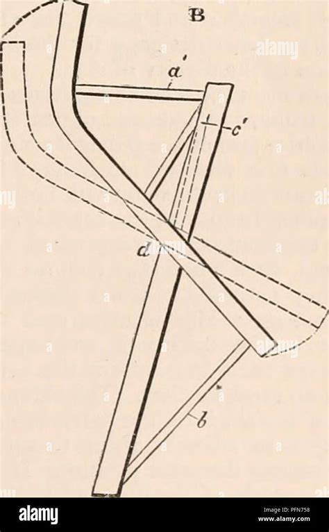 sacral tuberosity  res stock photography  images alamy