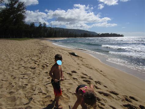 Any good secluded beaches on Oahu?? | Travel