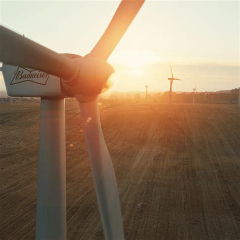 transforming  corporate commitment  budweiser anthesis group