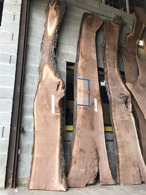 walnut slab  sizes chicago fabrications