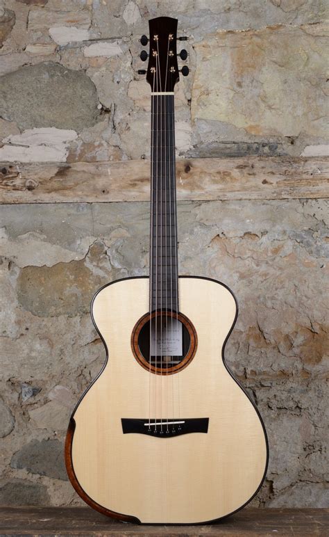 ds taran guitars