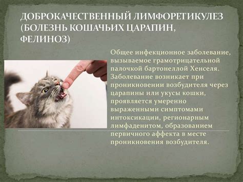 Лимфаденопатия у детей - презентация онлайн
