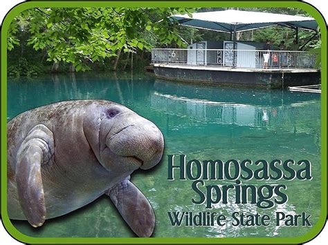 Homosassa Springs Wildlife State Park Florida with Manatee Fridge Magnet