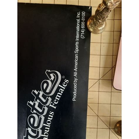 Vintage Poster Raiderettes Cheerleaders Football's Fabulous Females