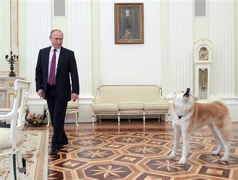 Russian President Vladimir Putin puts his dog diplomacy on display ...