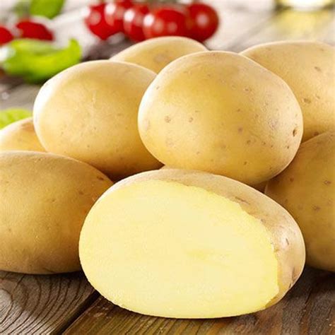 Картофель Удача (7814): купить картофель почтой в России | интернет ...