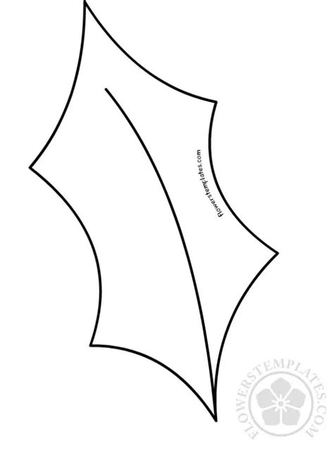 large holly leaf template color    graphics   christmas