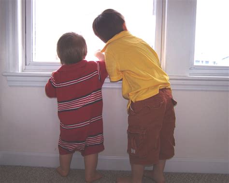 color photograph    hoffman absoluteartscom