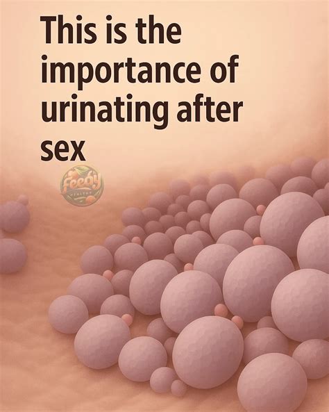 The Importance of Urinating After Sex: Preventing Infections