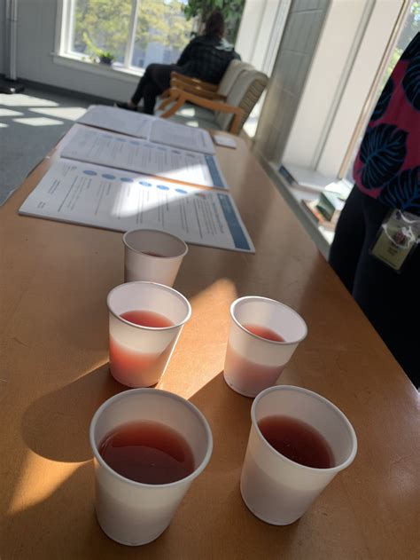 Watermelon-Hibiscus Iced Tea — Alliance Medical Ministry providing