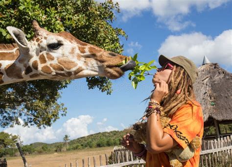 Girl Feeding Giraffe at Zoo Stock Photo - Image of contact, mammal: 59516202