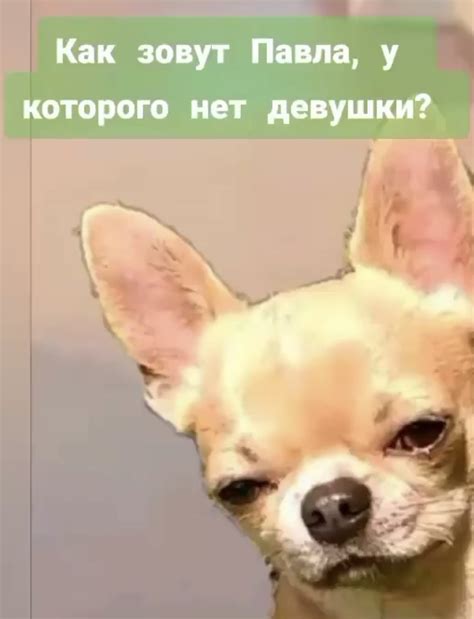 Минутка тупости | Пикабу
