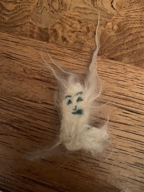 dog with dread hair 6