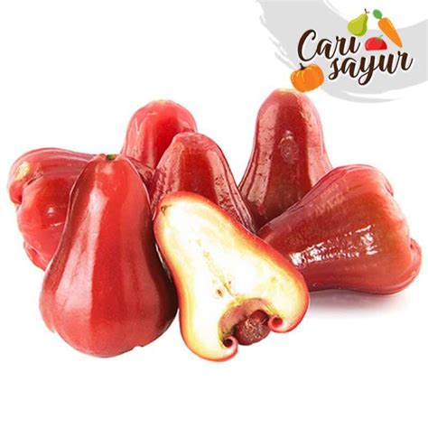 Gambar Buah Jambu Air Merah Png - 54+ Koleksi Gambar