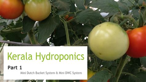 Home Made Hydroponic System - Part 1 of 2 - YouTube