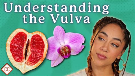 vulva vagina explained sex ed