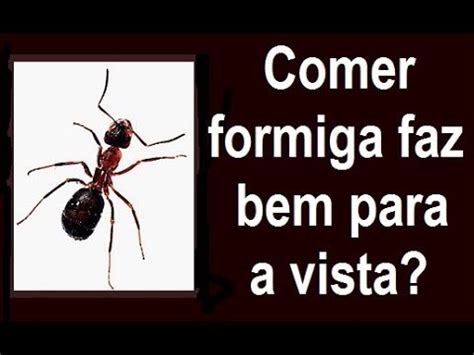 Formiga É Bom Para Vista - COMER FORMIGA FAZ BEM PARA A VISTA? - YouTube
