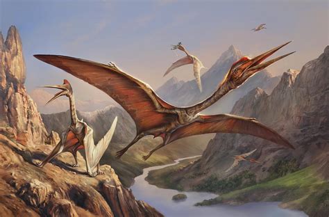 Quetzalcoatlus Wallpapers - Top Free Quetzalcoatlus Backgrounds ...