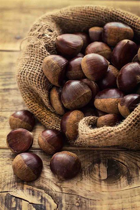 MELHOR DE 10 | » 10 incríveis benefícios da castanha