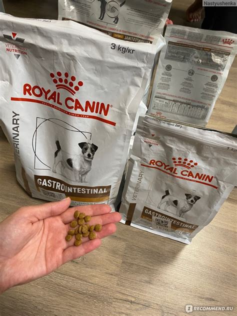 Сухой корм для взрослых собак мелких пород Royal Canin Gastrointestinal ...