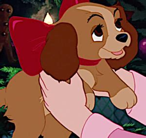 go tramp!!! - Disney's Lady and the Tramp Photo (35459226) - Fanpop