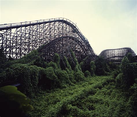 A roller coaster in Japan gets reclaimed by nature : r/reclaimedbynature