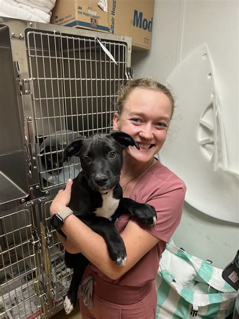 About Us | Hometown Veterinary Partners