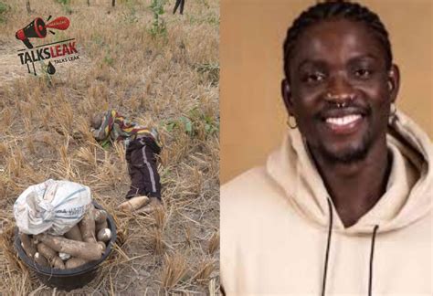 "This Is Getting Out Of Hand": VDM Raises Alarm Over Herdsmen Violence