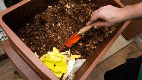 Urban Composting: Small-Space Solutions For Eco-Friendly Living