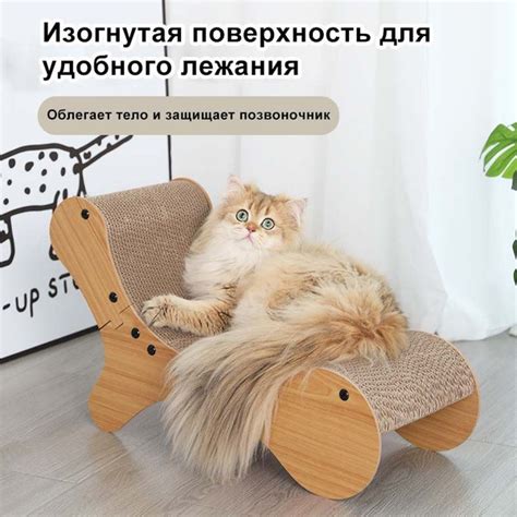 Когтеточка картонная для кошек - купить с доставкой по выгодным ценам в ...