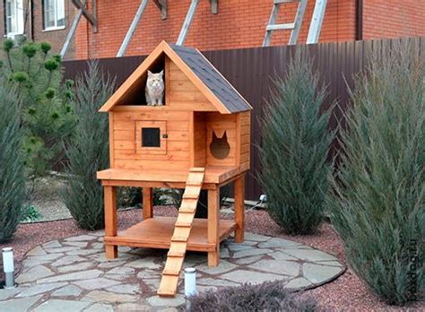 Домик для двух котов породы мейн-кун из Рост... | Cat house diy, Cat ...