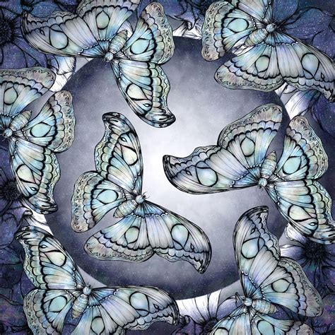 Products | Jessica Wilde Design