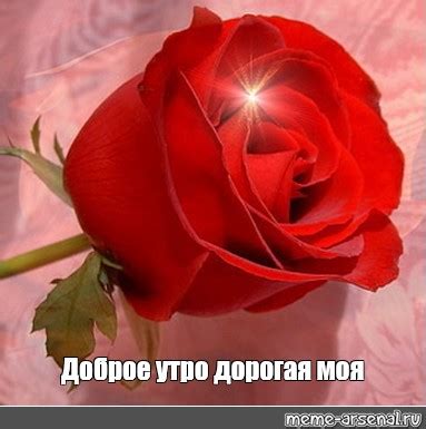 Meme: "Доброе утро дорогая моя" - All Templates - Meme-arsenal.com