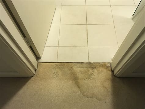 Why Is My Shower Leaking From The Unit at Lester Watkins blog