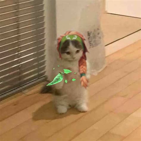 Pin by ୨ৎ 𝙢𝙞𝙡𝙚𝙨 on ma. | basically | Cat icon, Anime cat, Cat profile