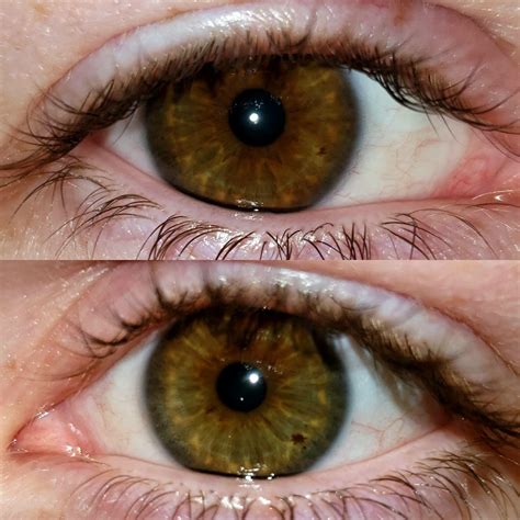 Hazel Eyes