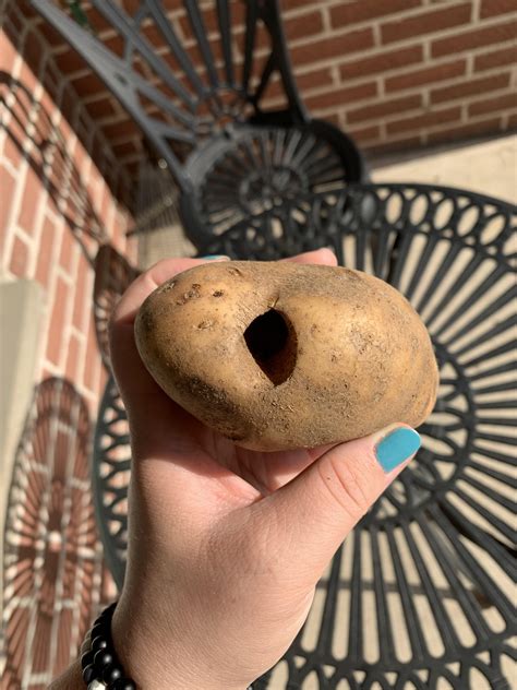 Potato glory hole? : r/shittyfoodporn