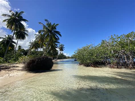 Why Everyone is Moving to Las Terrenas, Samana . A guide to Living in