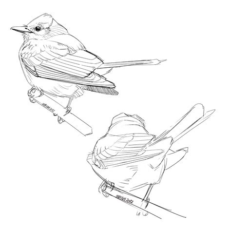 Some NSFW content of Tori Black : r/sketches