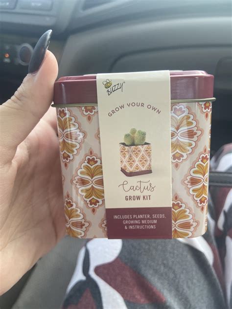 how to grow a cactus minecraft 4