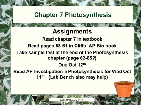 Photosynthesis Presentation: AP Biology Chapter 7