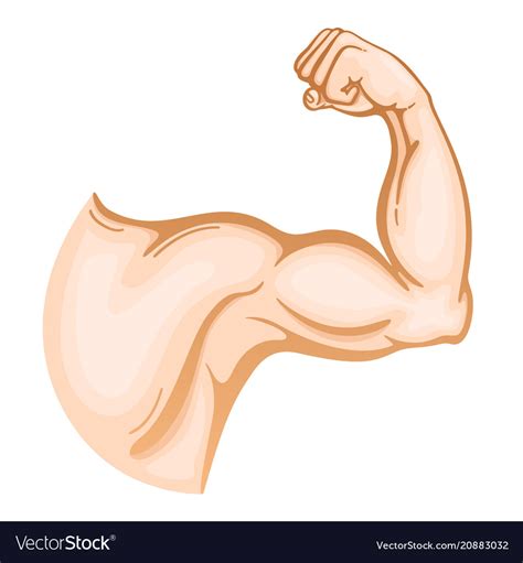 muscular strong hand royalty  vector image