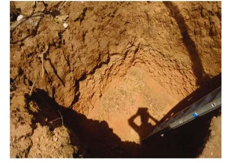 trial pit  site condition  scientific diagram