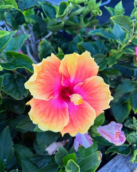 Sophie Blair (@sophiieblair) • Instagram photos and videos