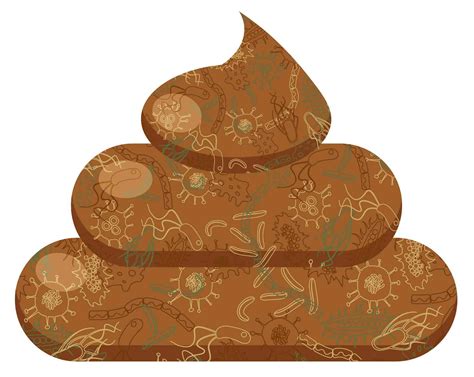 Your poo is (mostly) alive. Here’s what’s in it