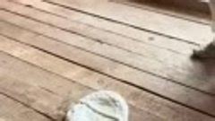 Необычный забор от мастера по работе с бетоном