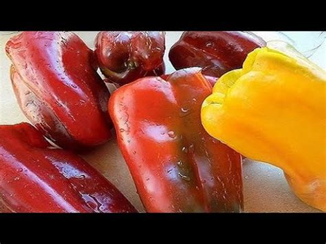 💯%ЭТИ ПЕРЦЫ САЖАТЬ НЕ БУДУ И ВАМ НЕ РЕКОМЕНДУЮ‼️ПОТРАТИТЕ ВРЕМЯ И ...